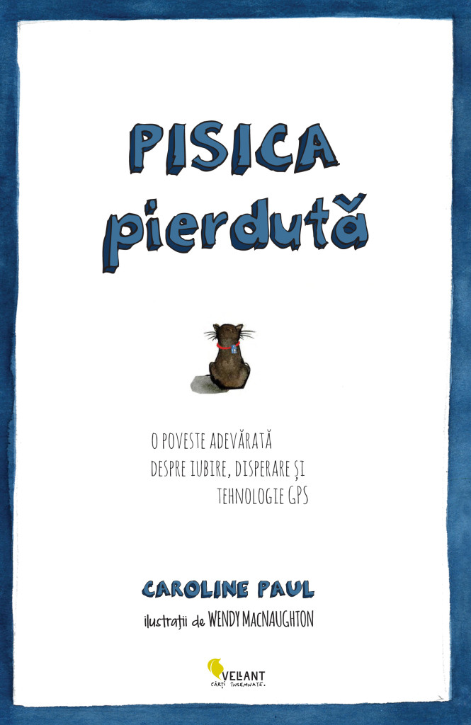 pisica pierduta coperta-01